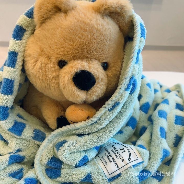 PRIELLE OZ WAFFLE マイクロファイバー ブランケット［3色・3サイズ